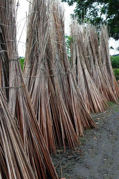 Jute Stick Bunch Stock Field Drying Harvest — Φωτογραφία Αρχείου