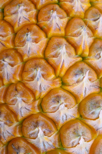 Texture Background Ripe Pineapple Peel — Foto Stock