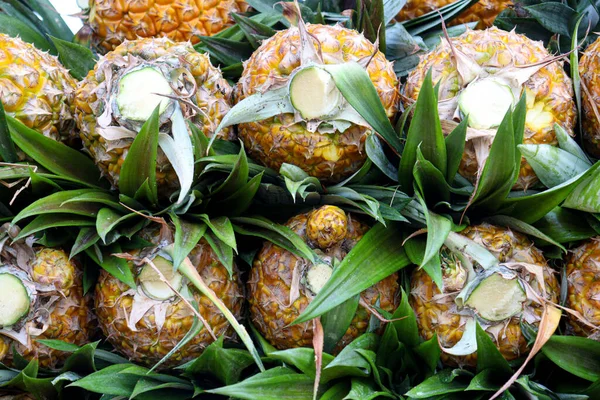 Tasty Healthy Ripe Pineapple Stock Farm Harvest — Stock Photo, Image