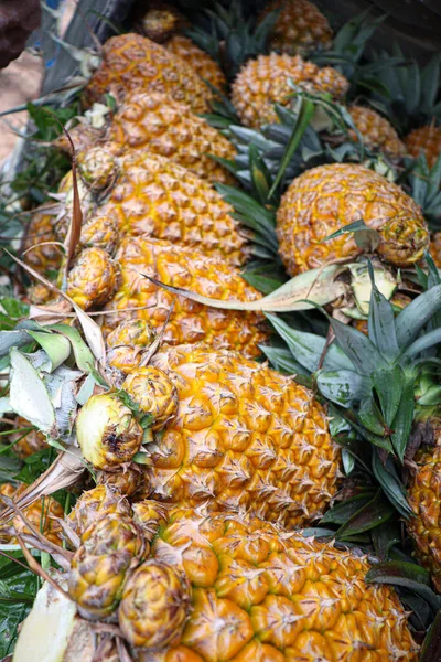 Tasty Healthy Ripe Pineapple Stock Farm Harvest — Zdjęcie stockowe