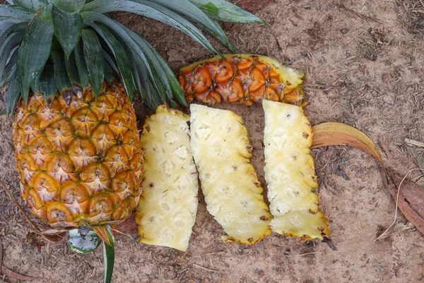 Ripe Pine Apple Peel Stock Juice Shop — Fotografia de Stock