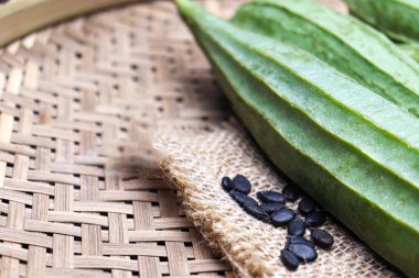 Ridges Gourd stock with seed on farm for farming