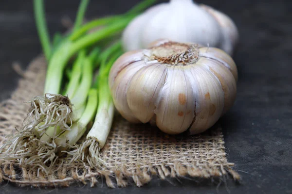 Fresh Healthy Garlic Tree Kitchen Cooking — Stok fotoğraf