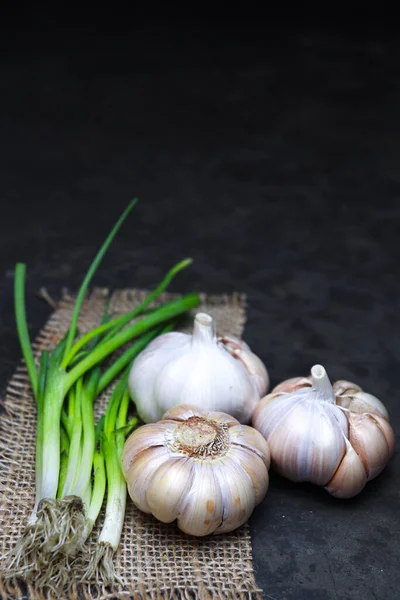 Fresh Healthy Garlic Tree Kitchen Cooking — Fotografia de Stock