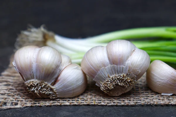 Fresh Healthy Garlic Tree Kitchen Cooking — Φωτογραφία Αρχείου