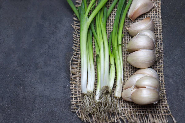 Fresh Healthy Garlic Tree Kitchen Cooking — Fotografia de Stock