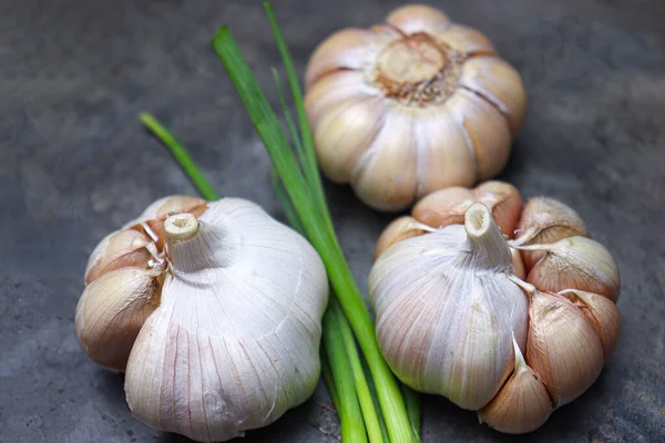 Fresh Healthy Garlic Tree Kitchen Cooking — Φωτογραφία Αρχείου