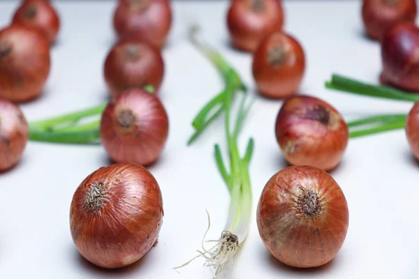 Tasty Healthy Onion Stock Tree Kitchen Cooking — Foto Stock
