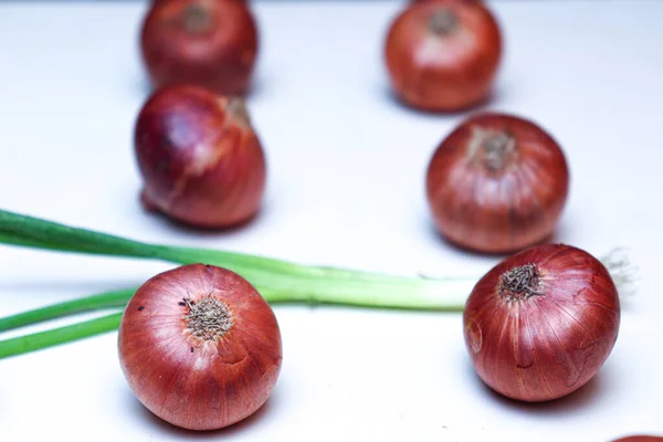 Tasty Healthy Onion Stock Tree Kitchen Cooking — Stock fotografie