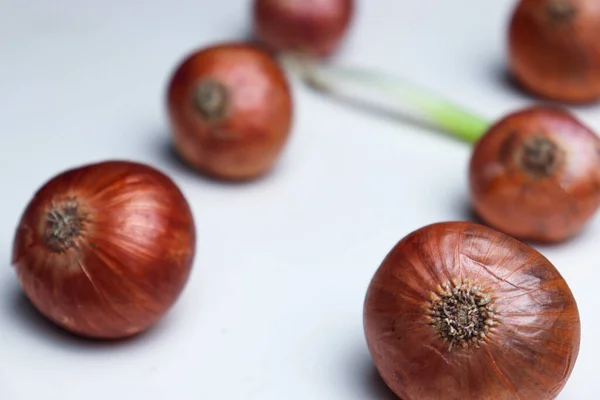 Tasty Healthy Onion Stock Tree Kitchen Cooking — Stock Fotó