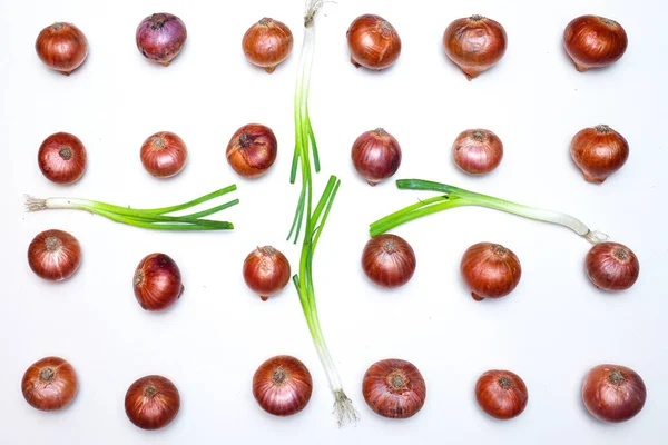 Tasty Healthy Onion Stock Tree Kitchen Cooking — Foto Stock
