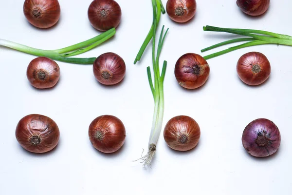 Tasty Healthy Onion Stock Tree Kitchen Cooking — Stock fotografie