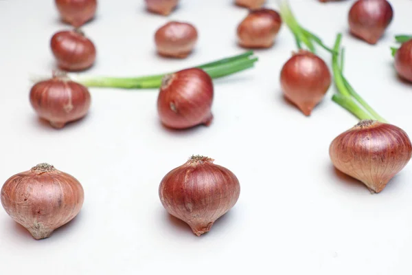 Tasty Healthy Onion Stock Tree Kitchen Cooking —  Fotos de Stock