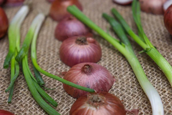 Tasty Healthy Onion Stock Tree Kitchen Cooking — Stok fotoğraf