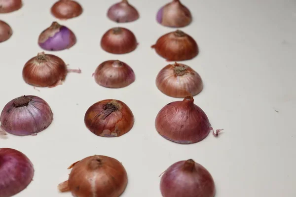 Texture Background Onion Stock Any Use — Stok fotoğraf