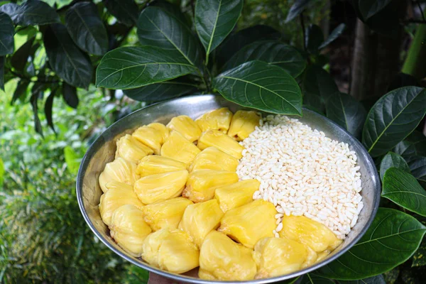 tasty and healthy jackfruit cloves with leaf and puffed rice on plate