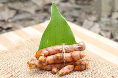 raw turmeric stock with leaf on farm for harvest