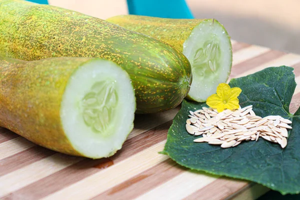 Tasty Healthy Cucumber Stock Seed Flower Leaf Farm — Stockfoto