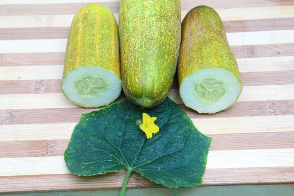 Tasty Healthy Cucumber Stock Flower Leaf Farm — Stock Photo, Image