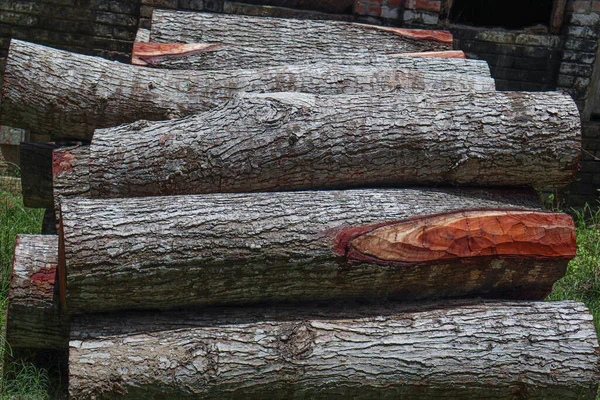 Timber Stock Tree Saw Mill — Stok fotoğraf