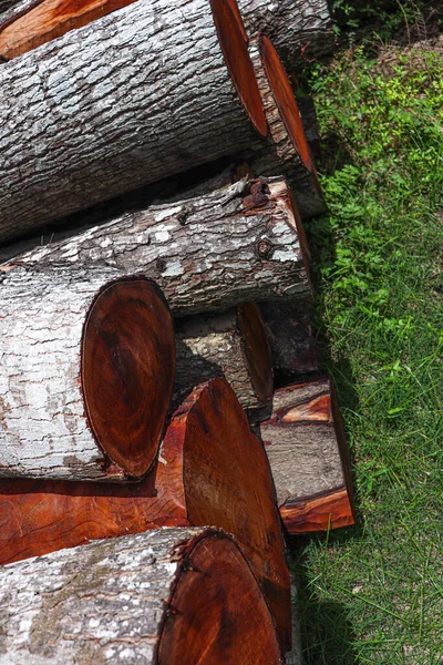 Timber Stock Tree Saw Mill — Stock Photo, Image