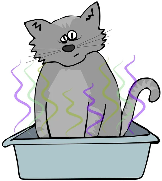 Kat in een kattenbak Stockfoto