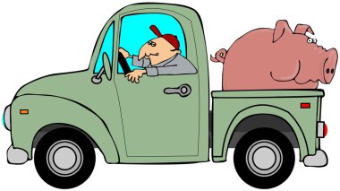 bir domuz hauling kamyon