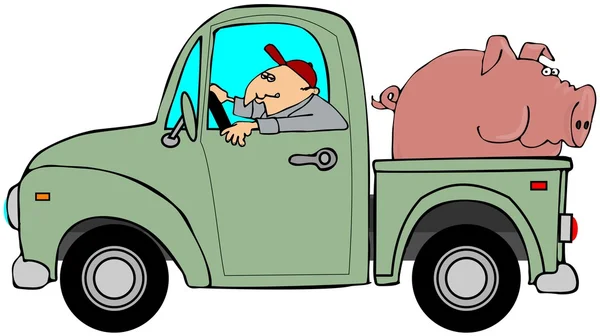 Truck hauling a hog — Stock Photo, Image