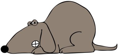 Köpek dişlerinin barikat