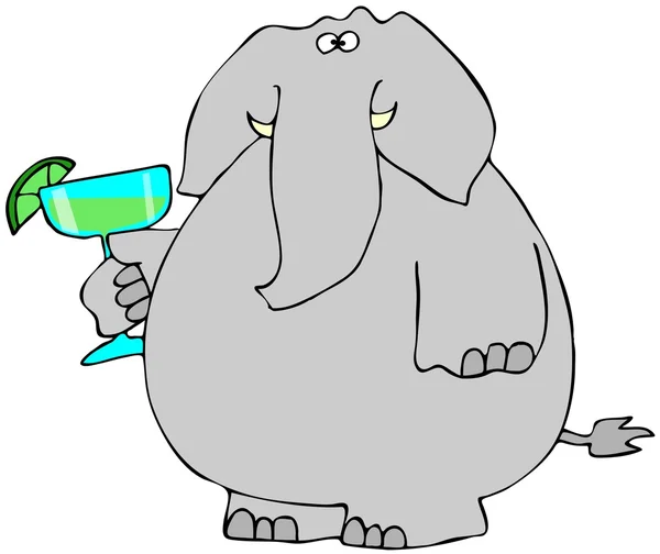 Elefante com uma Margarita — Fotografia de Stock