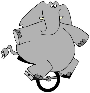 bir tek tekerlekli sirk bisikletine binme fil