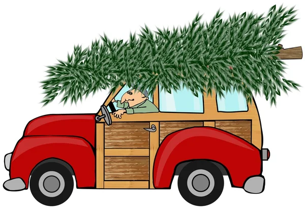 Christmas tree on a woody — Stock Photo, Image