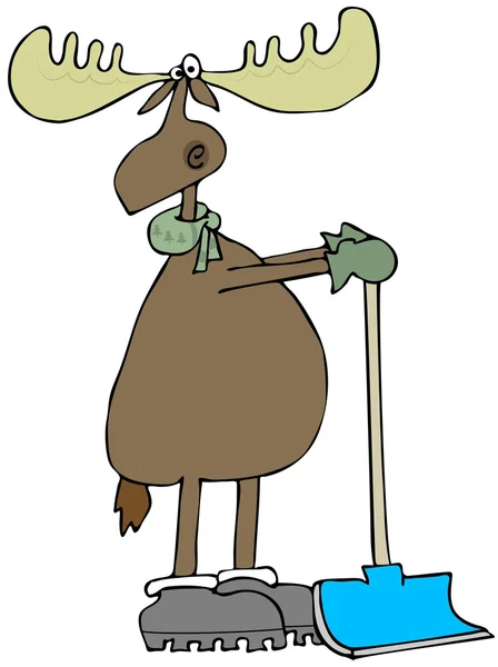 Moose leaning on a snow shovel — Stock Photo, Image