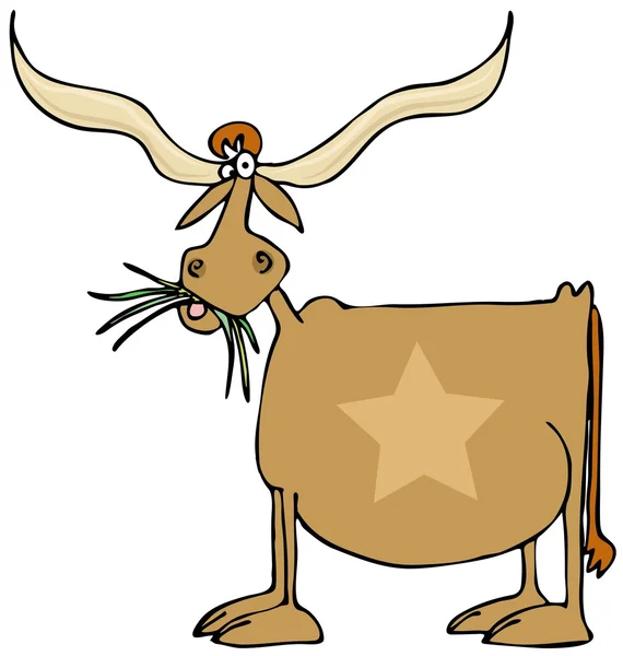Texas longhorn — Stock Photo, Image