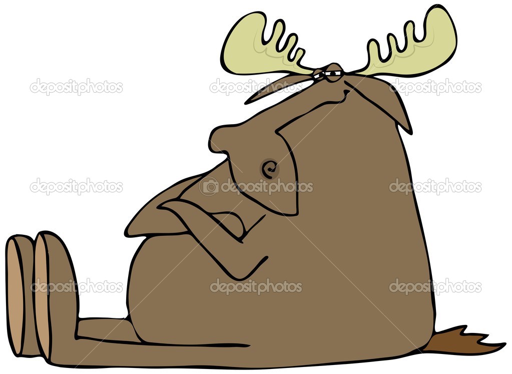 Obstinate moose