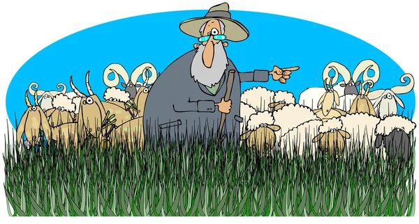Pastore con pecore e capre — Foto Stock