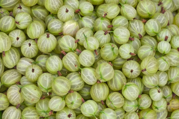 Gooseberry background — Stock Photo, Image