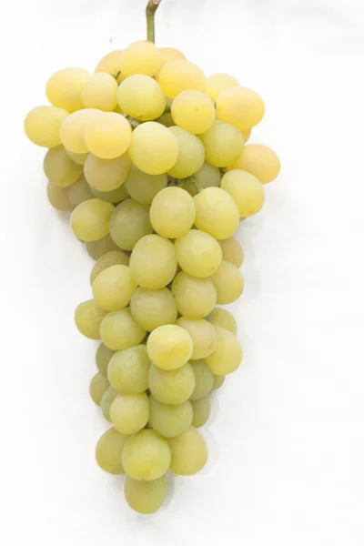 Aglomerado de uvas brancas — Fotografia de Stock