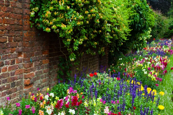 Garden landscape — Stock Photo, Image