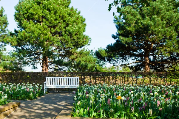 Jardín de primavera paisaje —  Fotos de Stock