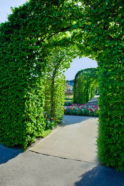 Spring garden landscape — Stock Photo, Image