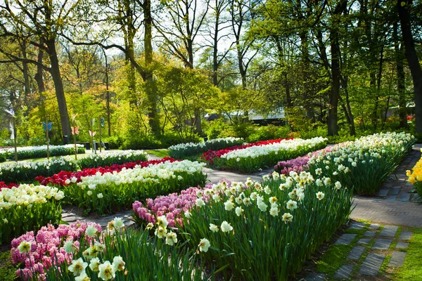 Spring garden landscape — Stock Photo, Image