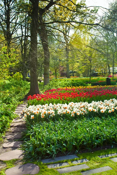 Våren trädgård landskap — Stockfoto