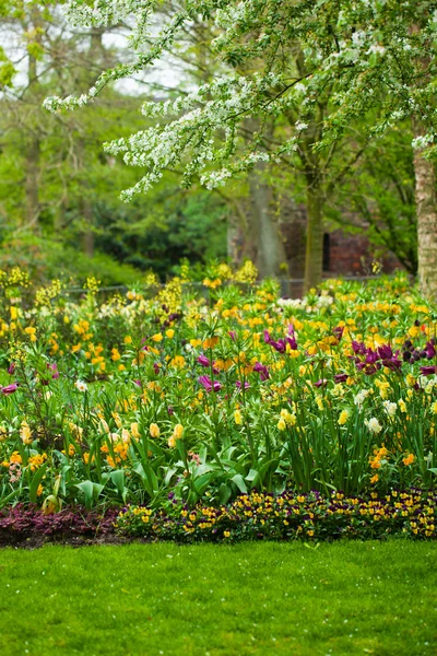 Våren trädgård landskap — Stockfoto