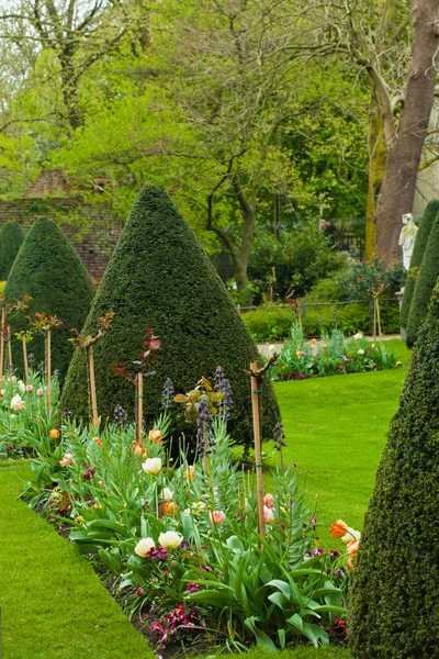 Spring garden landscape — Stock Photo, Image