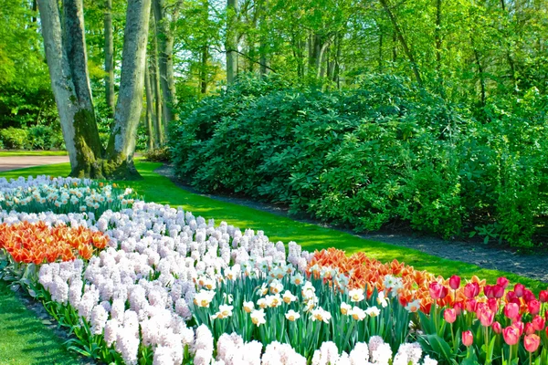 Jardín de primavera paisaje —  Fotos de Stock