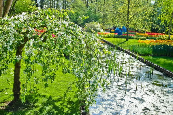 Våren trädgård landskap — Stockfoto