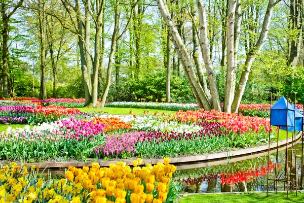 Jardín de primavera paisaje — Foto de Stock