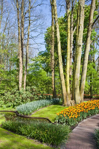 Spring garden landscape — Stock Photo, Image