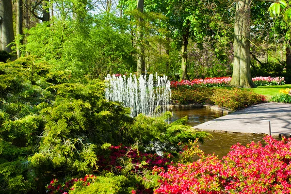 Spring garden landscape — Stock Photo, Image